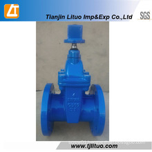 DIN Ductile Iron Non Rising Stem 2" Inch Gate Valve